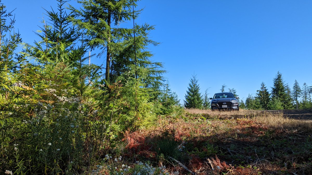 ham_bitious's tweet image. Portland SOTA! youtu.be/oXsxREGKLlQ