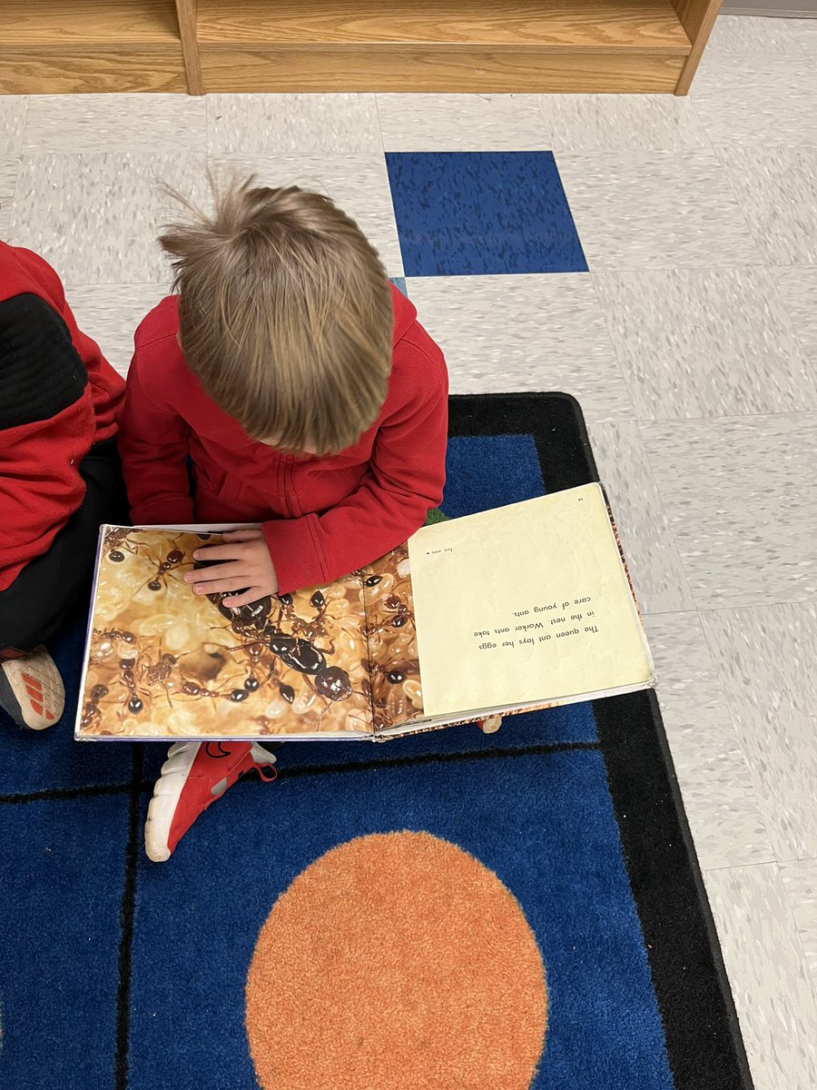 My heart is full while watching and listening to these kindergarten children read. <a href="/TCBOE/">Talladega Co Schools</a> <a href="/cburgelem/">ChildersburgElem</a> #LeadingTheWay