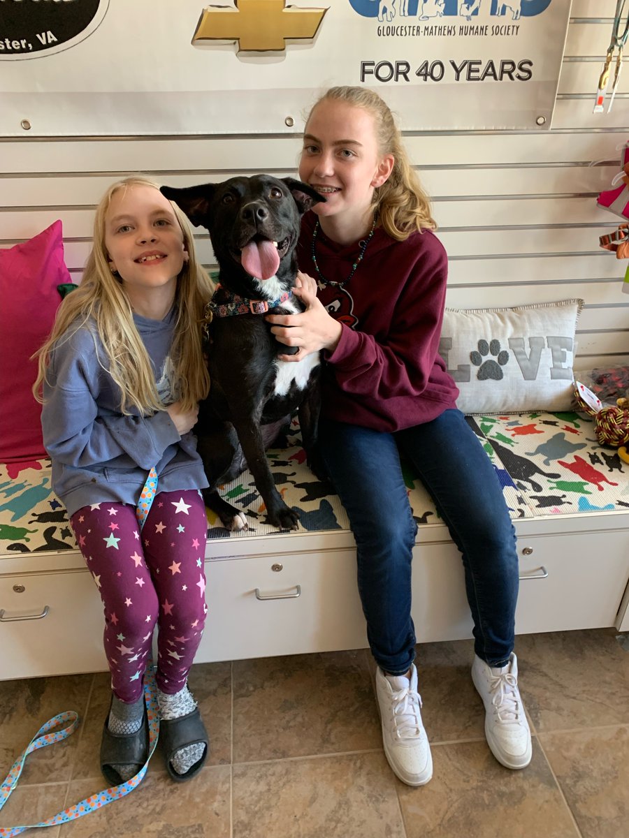 gmhumanesociety's tweet photo. Peaches has found her fur-ever family!
❤🐾❤🐾❤🐾
This heart connection is presented by Homeward Bound Sponsor Ken Houtz Chevrolet Buick.
#adoptdontshop #shelterpetsrock #thinkadoptionfirst #gmhumanesociety https://t.co/VXiZJHlG4f
