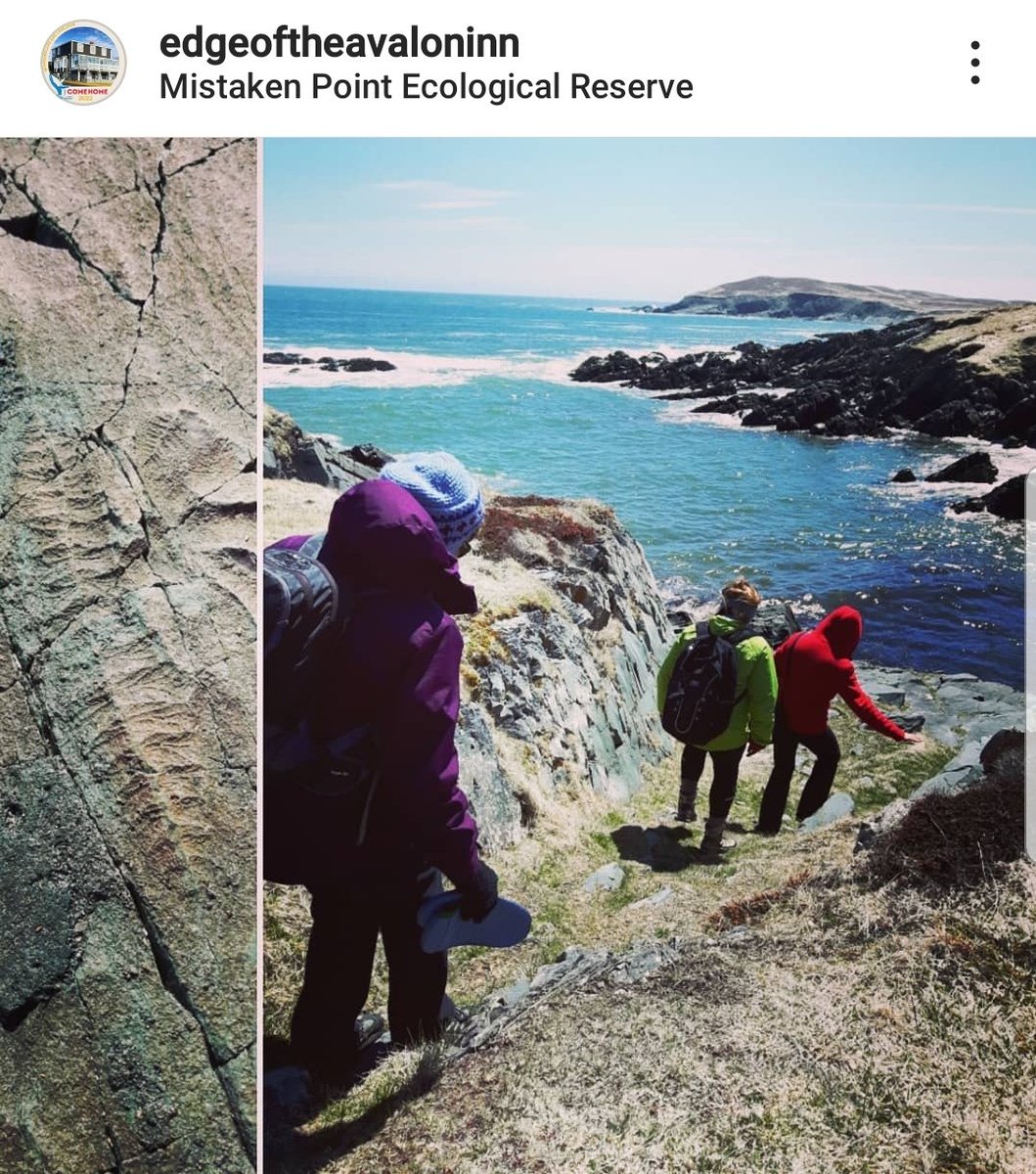 edgeoftheavalon's tweet photo. 📰 Great news for our region! The government of #Canada recently announced that the #UNESCO Mistaken Point Fossils has been added to the list of 100 International geological heritage sites. 

👁👁 Read full article: https://t.co/7Pdobf7Ple

#NewfoundlandandLabrador #geotourism https://t.co/XqEWbisV2s