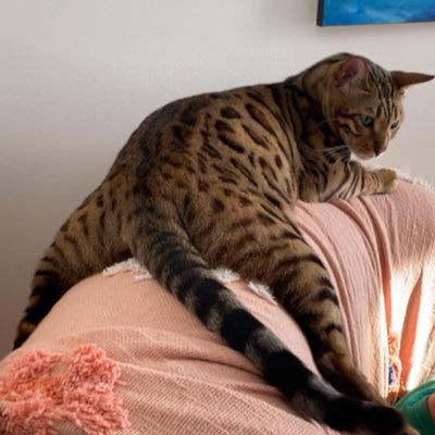 emmaxohamilton's tweet photo. #NewProfilePic https://t.co/Mebrd3FIUF