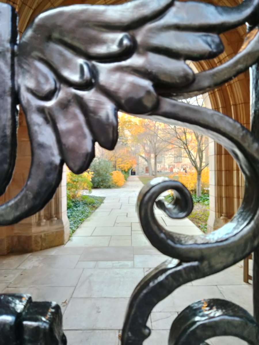 K. Krombie tweet media