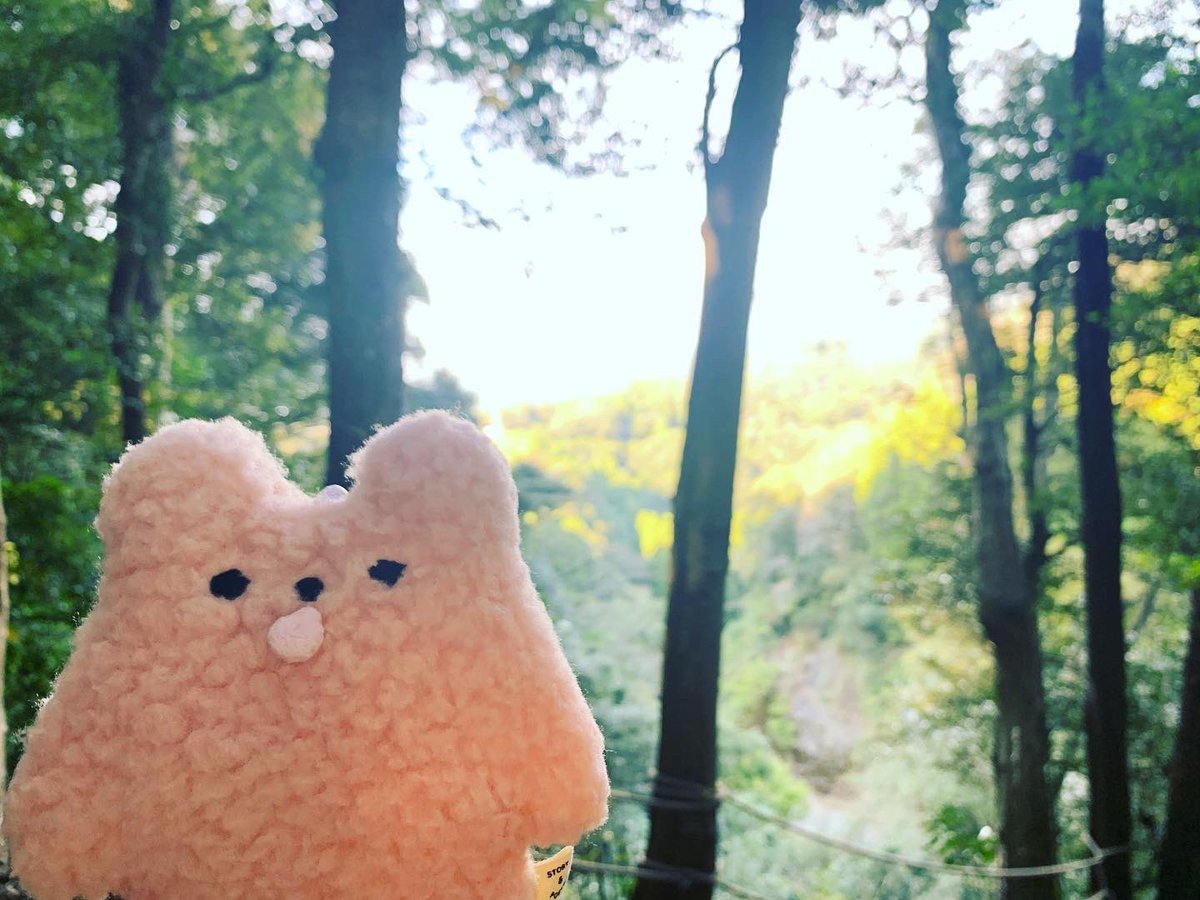 PEROBEAR_'s tweet photo. ่ช็ถใฎไธญใง
#ใใญใใข #PEROBEAR #ใใซใผใใซใผใจใ#bluebluet #ใฌใๆฎใ #ใฌใใใใฟ #ใฌใใฉใ #ใฌใใใใใใ #ใฌใๆฎใใใใจ็นใใใใ #่ช็ถ #ๆฃฎ https://t.co/tFEqZZgwtB