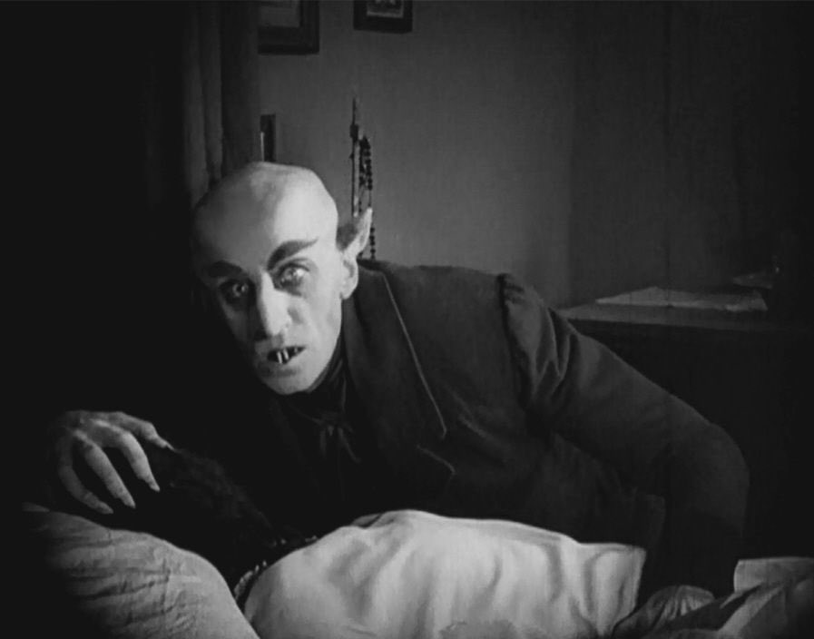 BinxBrownie's tweet photo. mfw u catch me sneaking back into bed after a midnight snack (shredded cheese straight from the bag) https://t.co/aPwNmEQQZ6