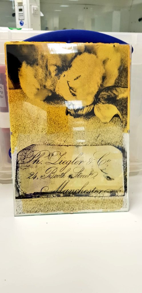 dralibrowne's tweet photo. Day 2 #cottonopolis x #slowcolour. Objects @Erin_bee @Aristolochia found in drawers of @McrMuseum Herbarium come to life. Anthotype printing on cotton Khadi, coloured with plant dyes from polluted sites, layered with turmeric (common dye evident use in objects in MM herbarium). https://t.co/wKTWzNdA3y