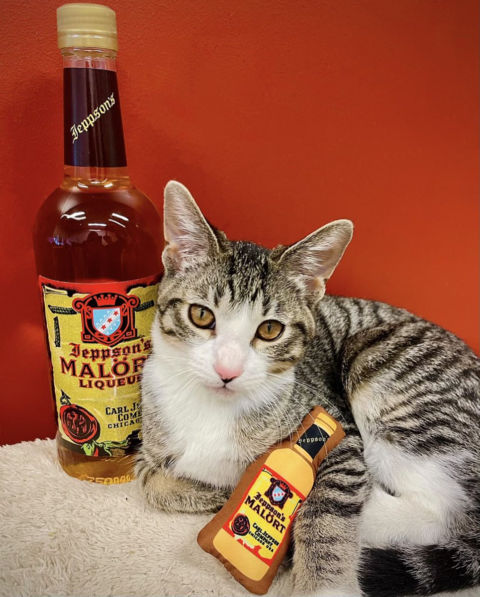 We’re teaming up with <a href="/onetailatatime/">One Tail at a Time (OTAT)</a> this holiday season to help pets in need. Now through the end of December, we’re donating $2 from every Malört Pet Item purchased from our site to <a href="/onetailatatime/">One Tail at a Time (OTAT)</a>. Shop to make a difference in an animals life:
bit.ly/MalörtMerch