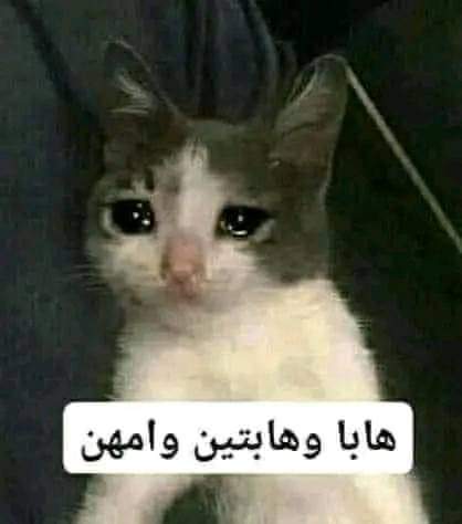 reem_alg_'s tweet photo. خلصت حق برمو مع دفعة عشان : 
1. ناخد صورتين و باقي كلهم صور ولاد و ولاد مش معانا حتى من دفعة و جامعة 
2. عشان وجوه بنات كلها تكون مدغدشة عشان الاغلبية يبو هكي https://t.co/F1xXEsjE9D