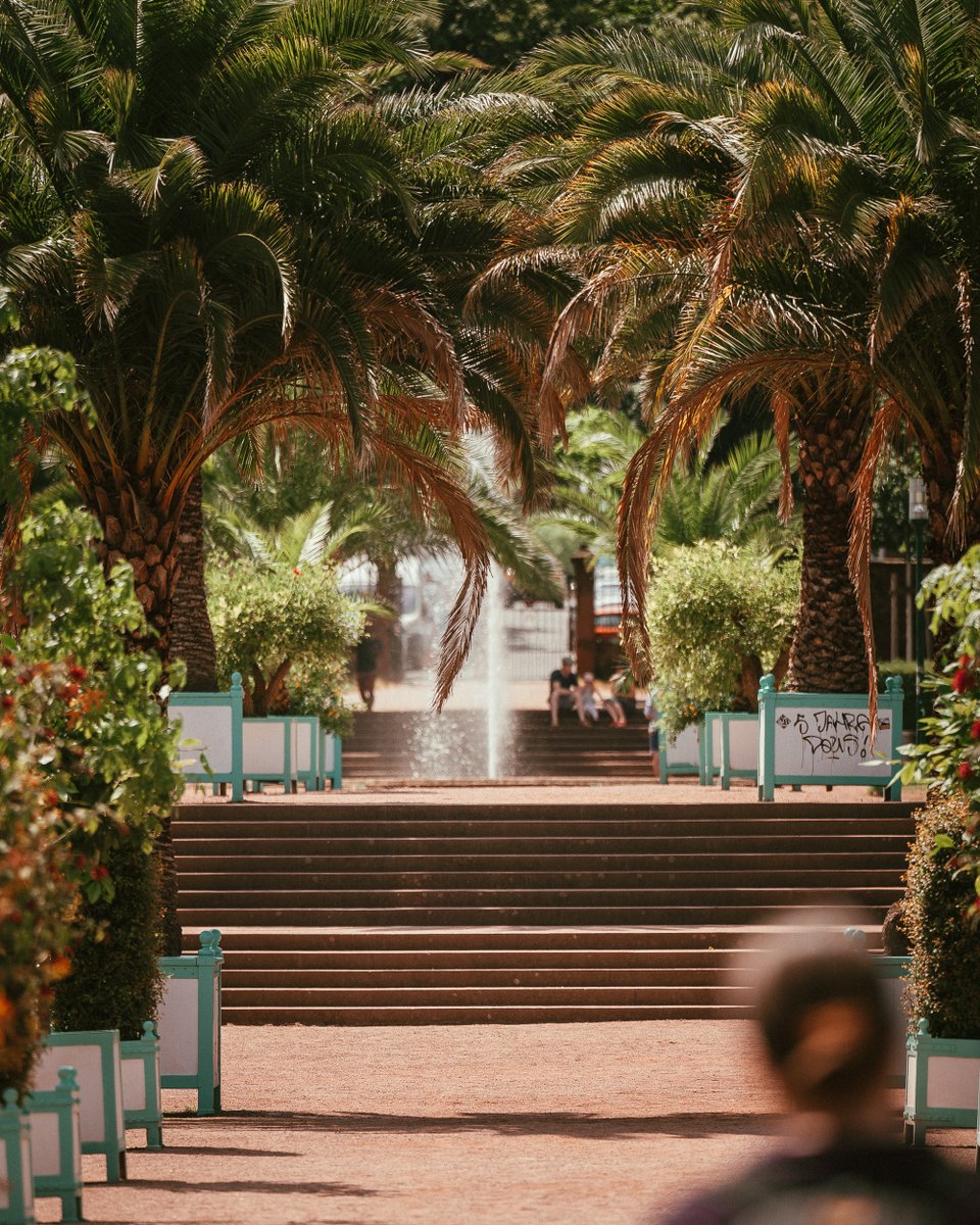 JosefFuris's tweet photo. 11 | 06 | 2022
Schwetzingen
.
.
#hornisgrinde #schwarzwald
#blackforest #nordschwarzwald
#photography
#digitalphotography
#germany
#bawü
#visualambassadors
#shotz_fired
#photographer
#streetphotography
#streetsofgermany
#citylife
#visitkarlsruhe
#bockaufkarlsruhe https://t.co/xsVqtzqZRL