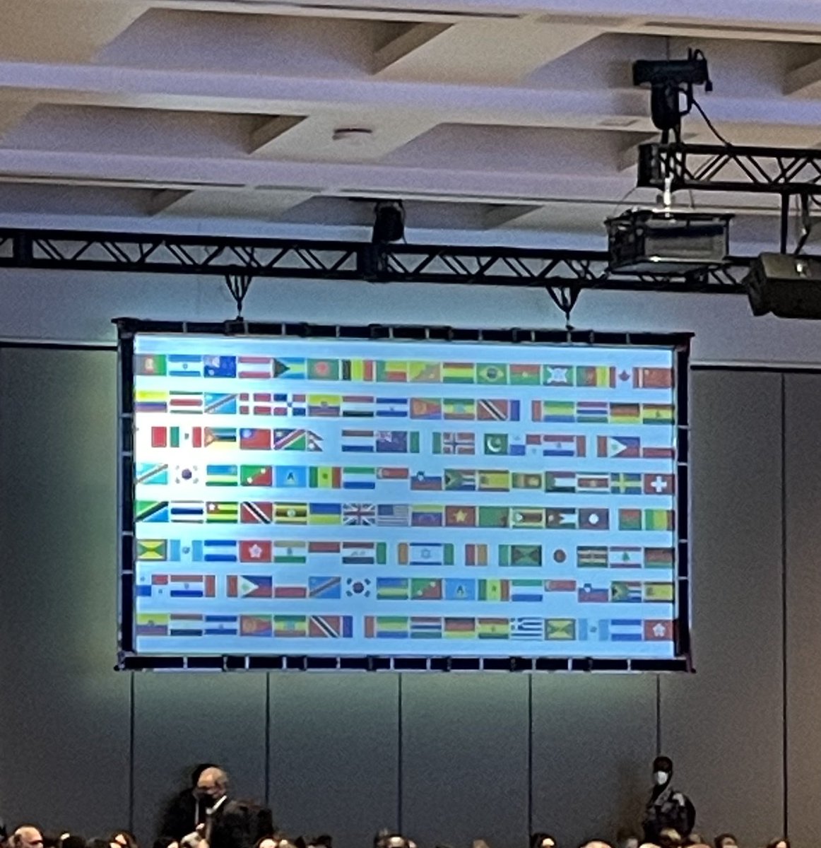 As CEO of ⁦<a href="/ASTMH/">ASTMH</a>⁩ I am passionate about showing the flags. Not a random mix but in fact intentional. These are flags of countries represented at @astmh. Note US flag in the mix, not first or bigger than any other country. We are all important and all are respected. 🌍