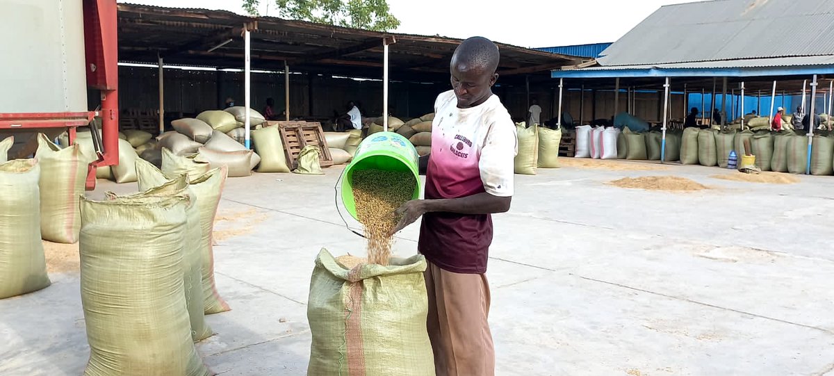 I support full production of  rice from  Bunyala Irrigation scheme with an aim of positioning our county as food basket in Western region.