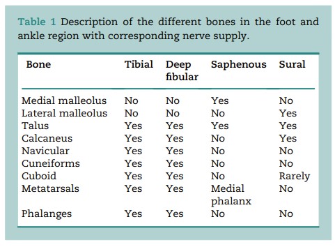 BJAJournals's tweet photo. Great nugget when planning blocks for foot and ankle surgery - think skin, muscle and bone innervation individually.

Read more in our #BJAEd article on RA for foot and ankle surgery by Drs Mussa, Bedford &amp; Allan

#RA @ajrmacfarlane @RegionalAnaesUK

https://t.co/JFtDs5uiLd https://t.co/Nr7BQ0c6SU