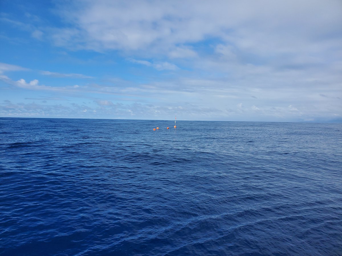 Steven Wilhelm (@tn_marine_micro) on Twitter photo Interested in a PhD working with microbes in marine or fresh waters. We have six well-funded UTK labs interested in new PhD students who want to work on viruses, bacteria, algae and more! <a href="/Buchan_Lab/">Alison Buchan</a> <a href="/Zlabmicro/">Erik Zinser</a> <a href="/archaearama/">Karen Lloyd</a> <a href="/drdrewsteen/">Drew Steen</a> <a href="/dtalm/">David Talmy</a> <a href="/TN_Marine_Micro/">Steven Wilhelm</a> Interested in a PhD working with microbes in marine or fresh waters. We have six well-funded UTK labs interested in new PhD students who want to work on viruses, bacteria, algae and more! <a href="/Buchan_Lab/">Alison Buchan</a> <a href="/Zlabmicro/">Erik Zinser</a> <a href="/archaearama/">Karen Lloyd</a> <a href="/drdrewsteen/">Drew Steen</a> <a href="/dtalm/">David Talmy</a> <a href="/TN_Marine_Micro/">Steven Wilhelm</a>