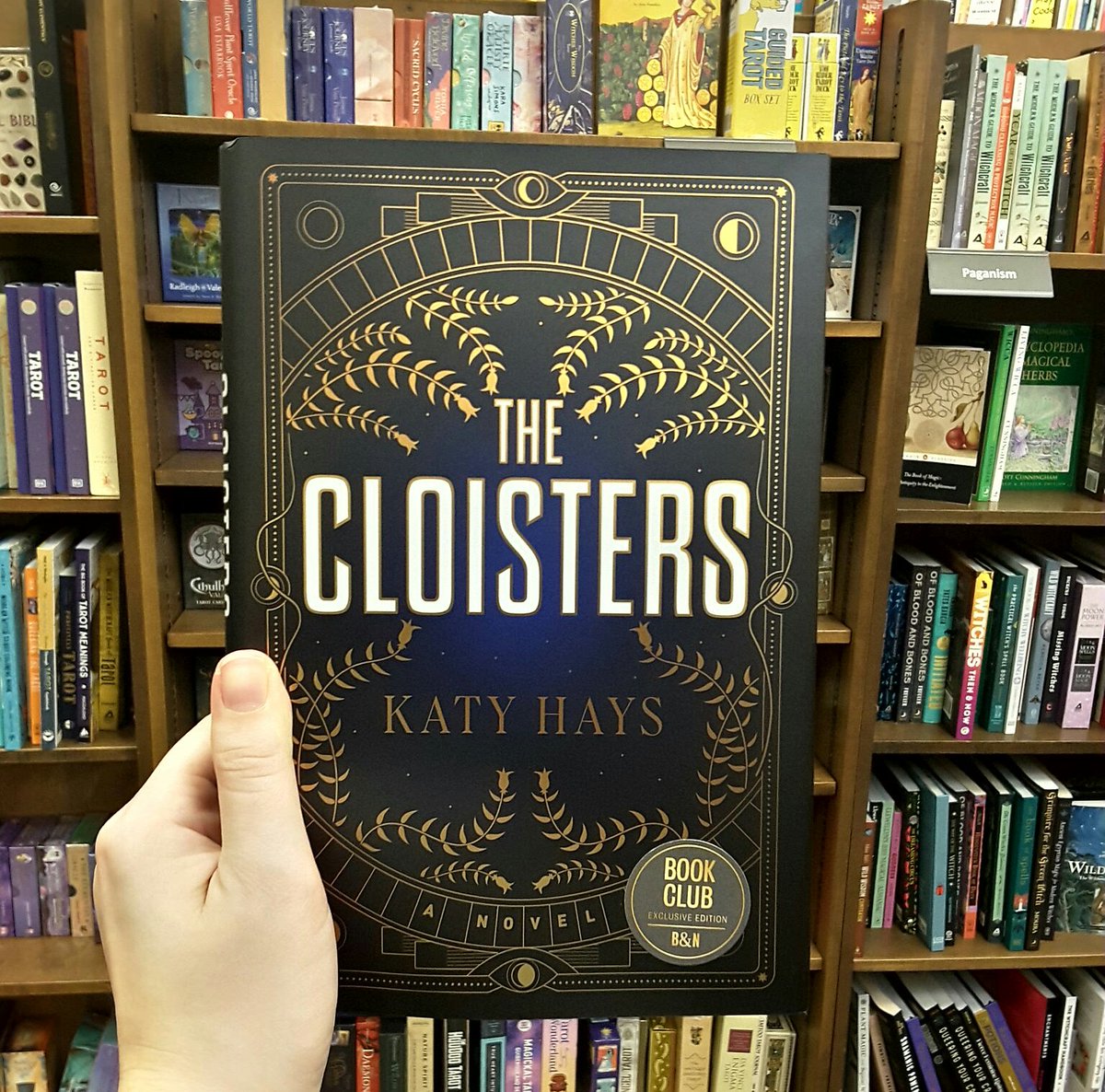 Got a brand new book for fans of #ninthhouse and #thesecrethistory 
Follow a circle of researchers as they uncover a mysterious deck of tarot cards. Check out The Cloisters by Katy Hays 📚
#book #booktwt #Barnesandnoble #BNFramingham