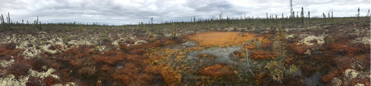 Please share. To highlight #permafrost at the upcoming #COP27, I want to know what questions you have about permafrost thaw, including its role in the climate system. Ask away and I'll do my best to answer. Panorama of land subsidence caused by thaw in Canada: