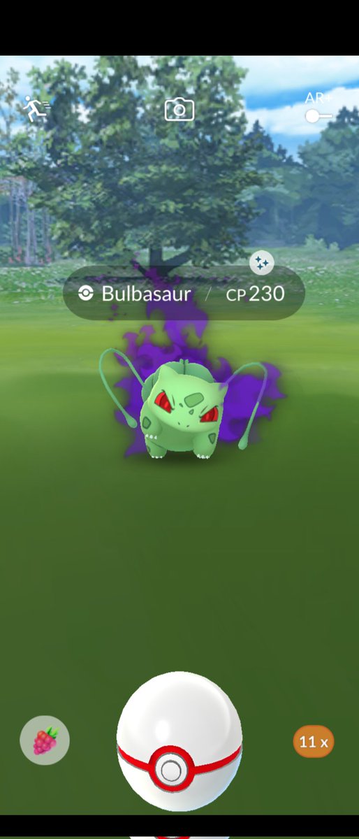 marinaferrari_'s tweet photo. Shadow shiny ✨✨✨
#Bulbasur #ShinyPokemon #ShinyCheck #PokemonGO #Pokemon https://t.co/EdHnaAnWXt