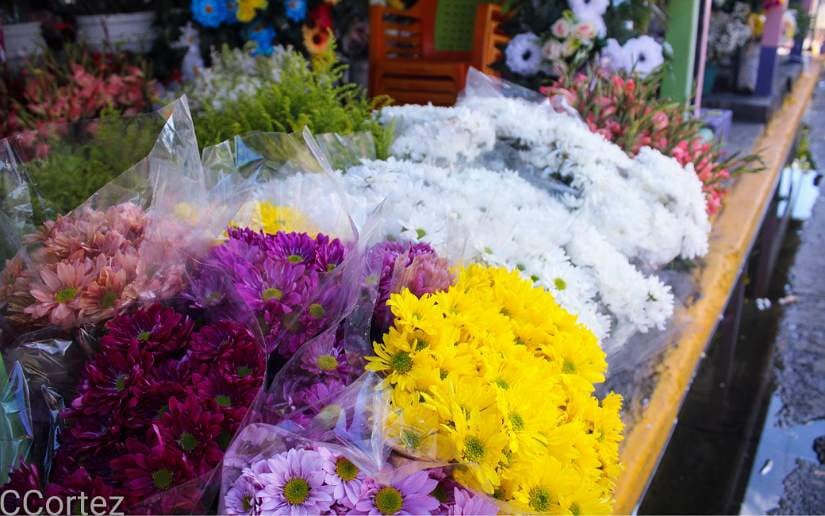EjercitoLoco's tweet photo. 02 de noviembre, el comercio se ha activado en los diferentes camposantos en la ciudad de Managua, en donde los emprendedores ofertan una variedad de flores, así como también desarrollan jornadas de limpieza. #UnidosVencemosVenceremos #BrigadaSiempreMásAllá #Nicaragua https://t.co/WOWehBykK9