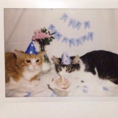 404YSA's tweet photo. https://t.co/Vh9yHyj3Bk