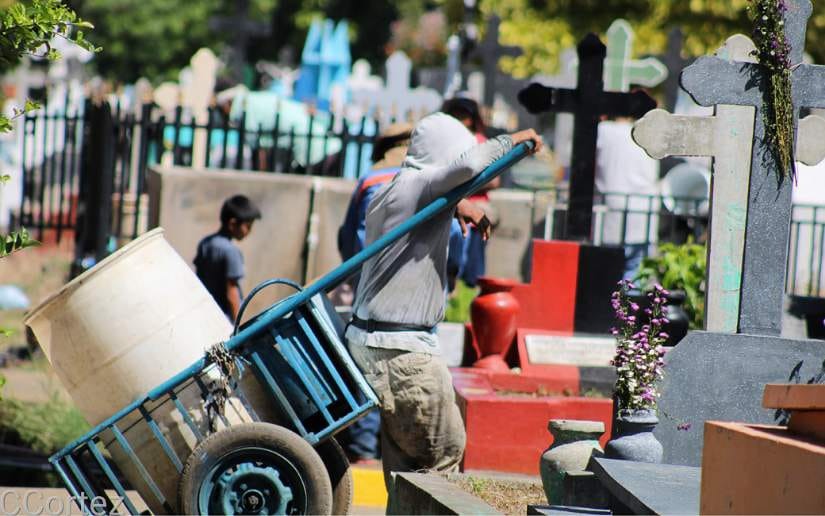 EjercitoLoco's tweet photo. 02 de noviembre, el comercio se ha activado en los diferentes camposantos en la ciudad de Managua, en donde los emprendedores ofertan una variedad de flores, así como también desarrollan jornadas de limpieza. #UnidosVencemosVenceremos #BrigadaSiempreMásAllá #Nicaragua https://t.co/WOWehBykK9