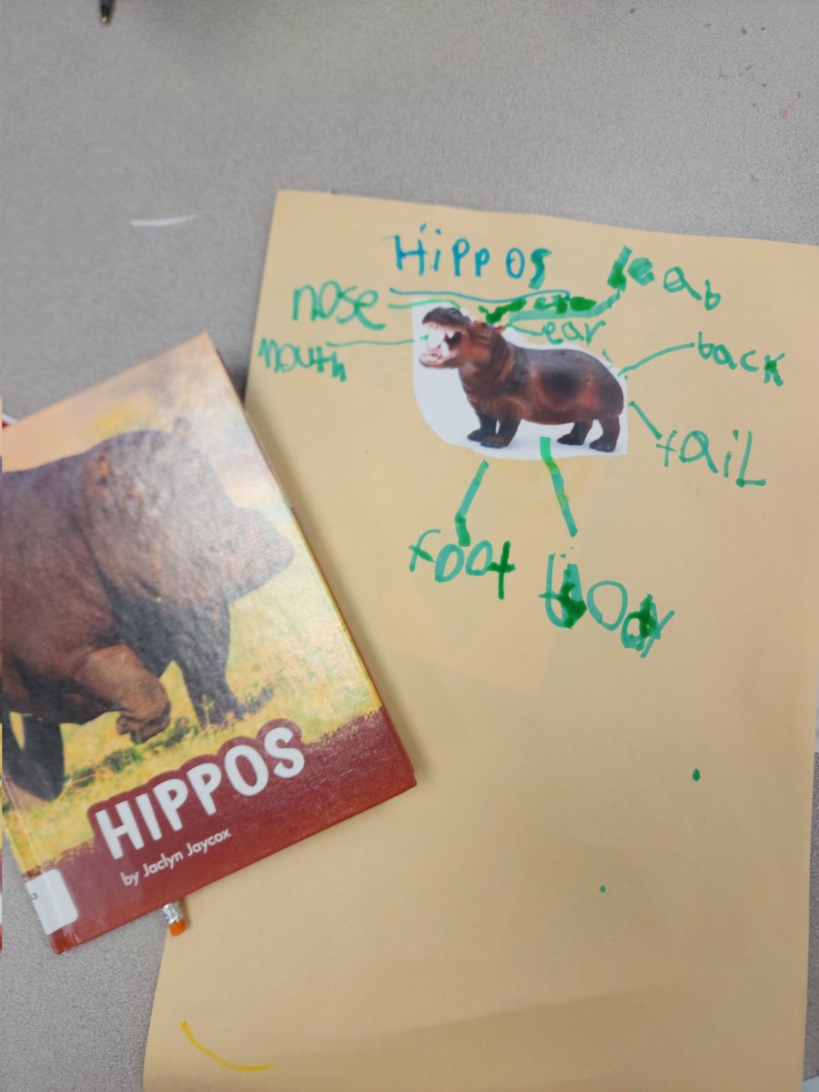 Mrs_Baret's tweet photo. #WorldClassELs are making great progress on their animal research projects. We completed the research last week and today we created headings and labels! We can't wait to add more text features 🎯@MHES_Eagles https://t.co/16yJhU4sNf