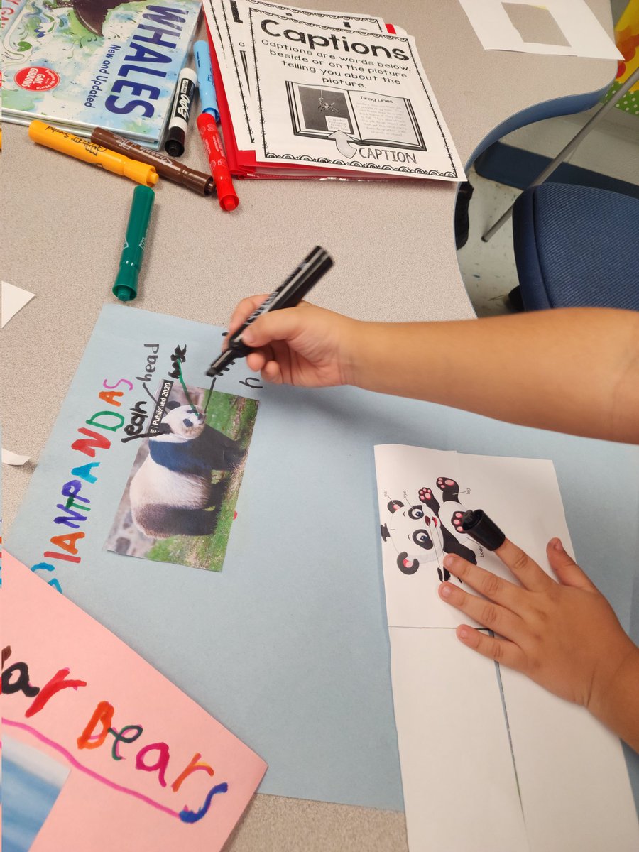 Mrs_Baret's tweet photo. #WorldClassELs are making great progress on their animal research projects. We completed the research last week and today we created headings and labels! We can't wait to add more text features 🎯@MHES_Eagles https://t.co/16yJhU4sNf