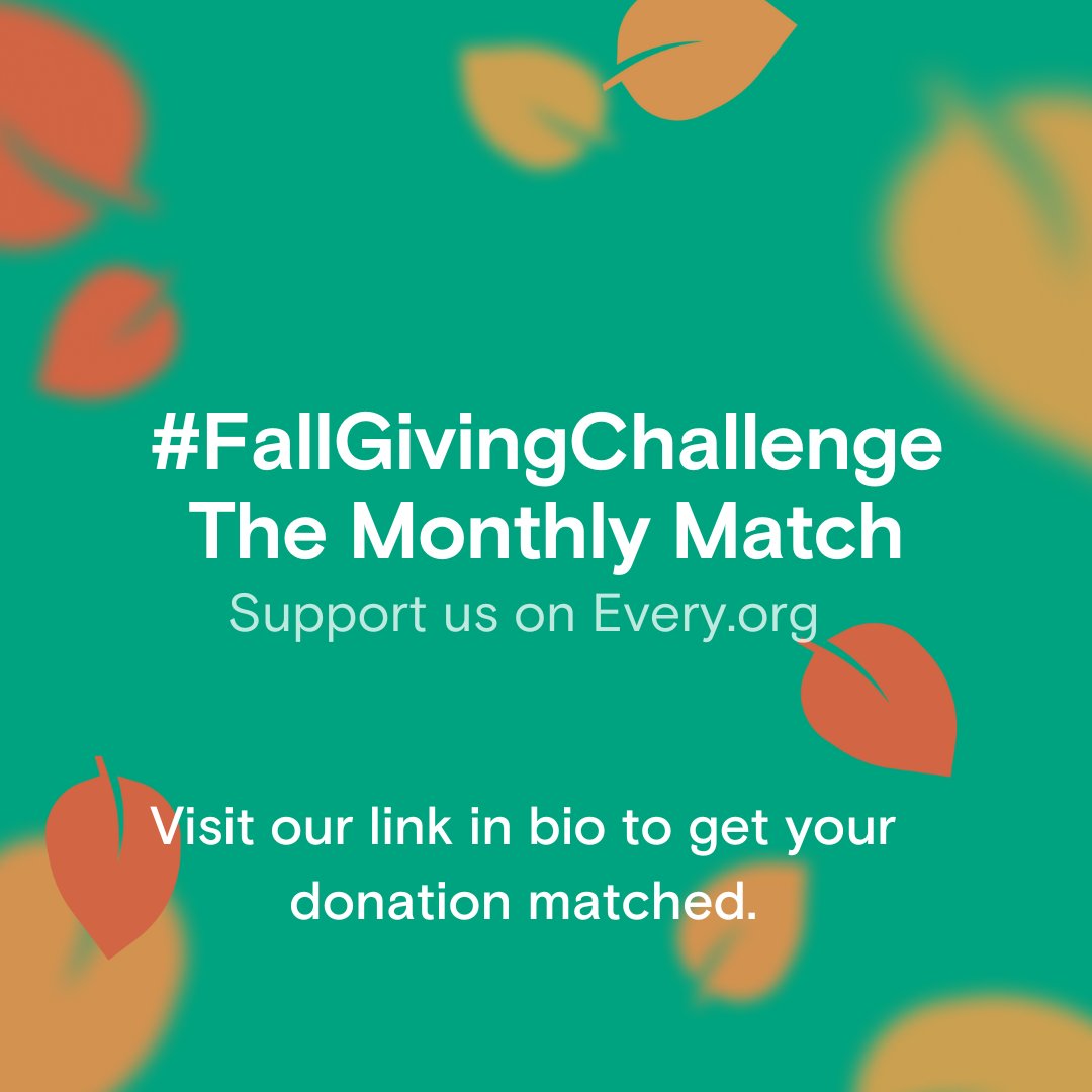 CodeCrew tweet media