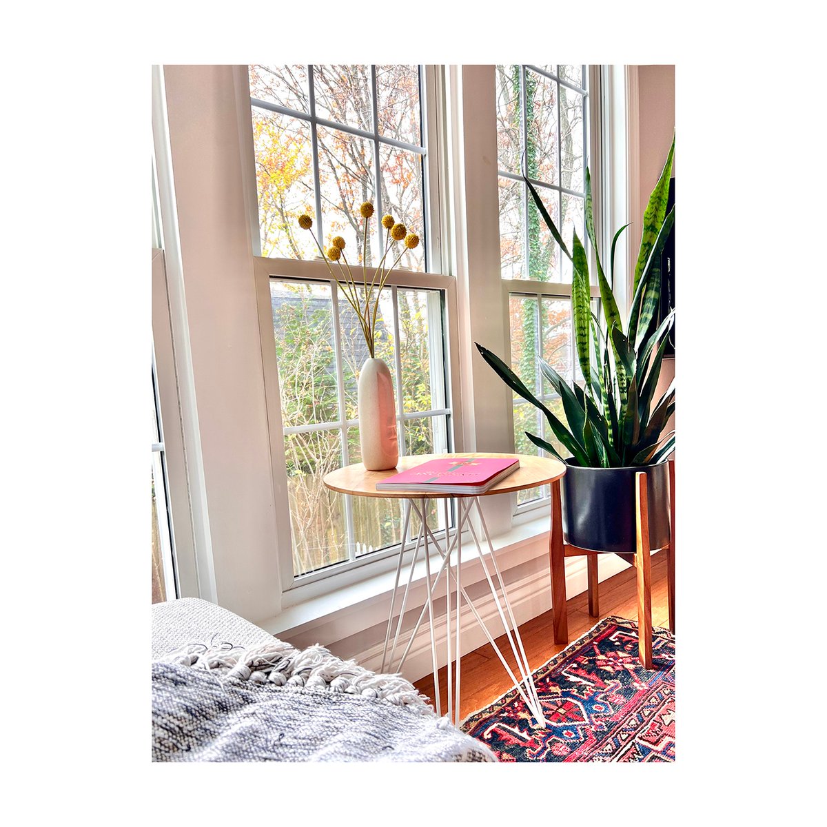 cozy season is upon us 🍂

#HudsonSideTable
#sidetable
#endtable
#designlovers
#furnituredesign
#simplystyleyourspace
#midcenturystyle
#designsponge
#dailydecordose
#modernhomeview
#modernliving
#simplehomestyle
#mynordicroom
#mywestelm
#scandistyle