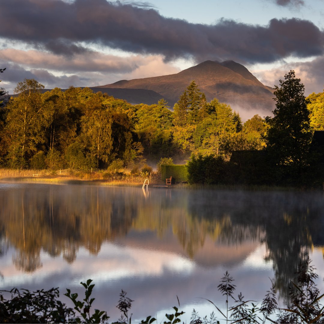 📍Autumn in Queen Elizabeth’s Forest Park 🍂

The perfect days exploration when staying at Forest Hills.

p.s. extra 10% off if you book direct before midnight on Thursday...  🤫