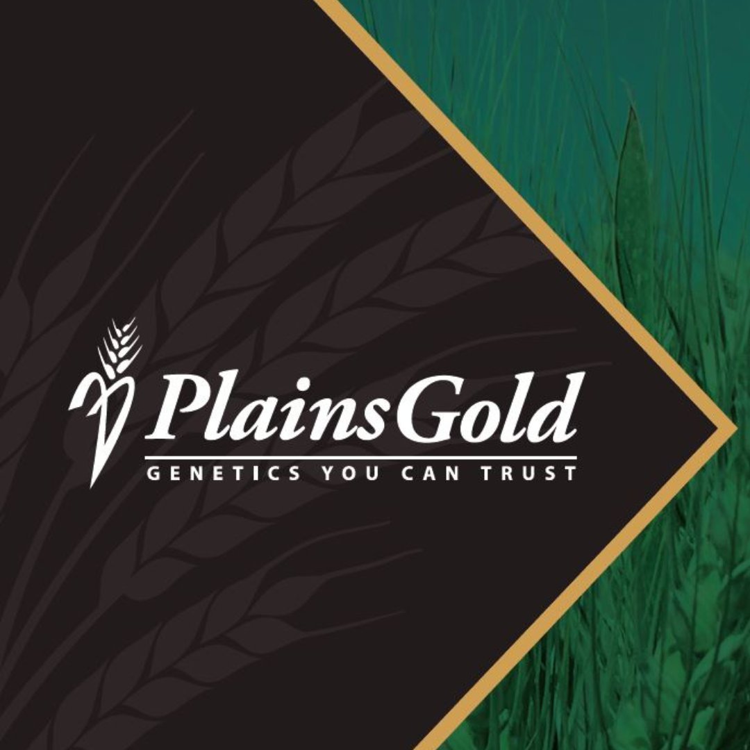 We would like to congratulate Mark Linnebur, David Leonard and Elden Harry for placing in the National Wheat Foundation's National Wheat Yield Contest with PlainsGold varieties! Read the full press release here: bit.ly/3gVwiNP <a href="/NationalWheat/">National Wheat Foundation</a>