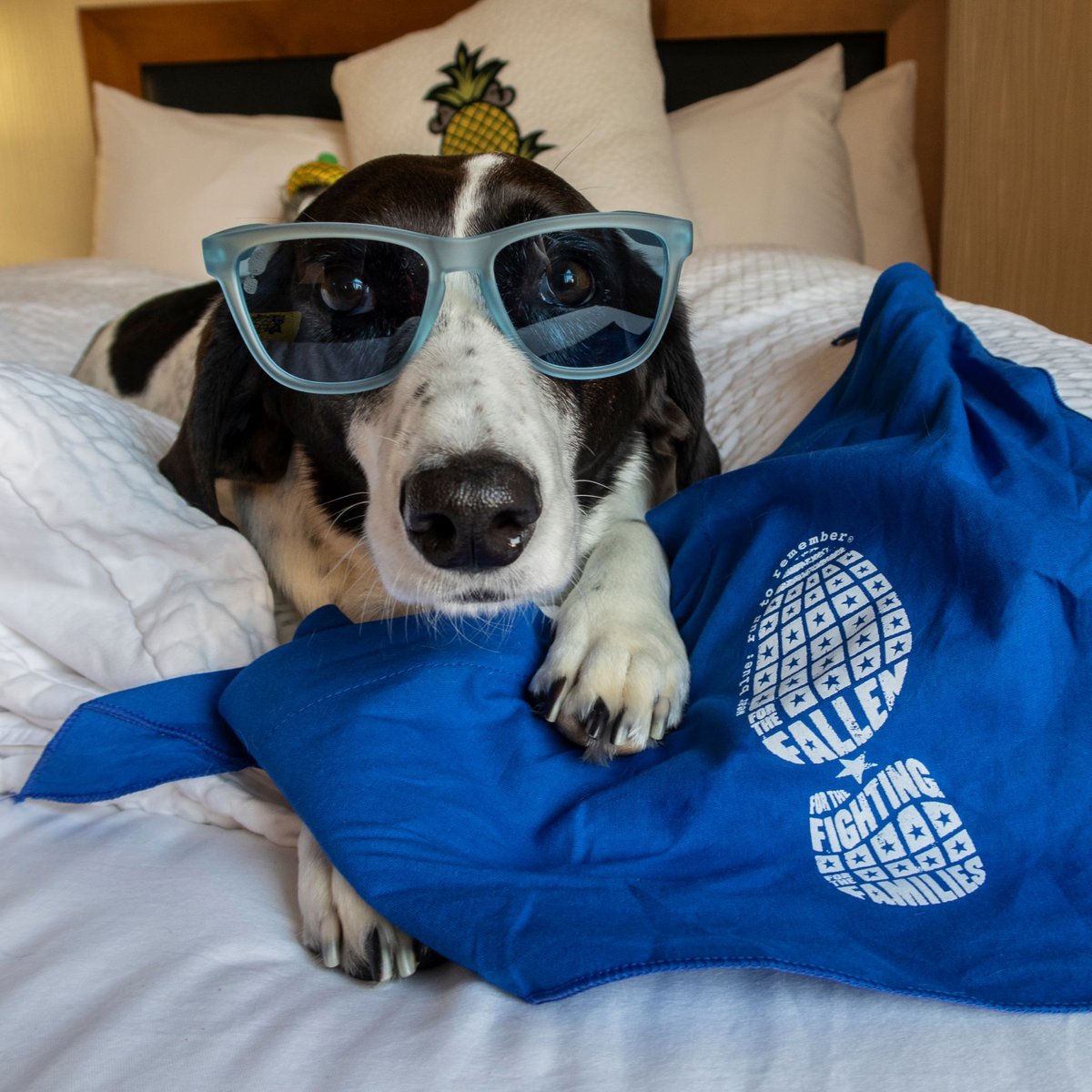 Staypineapple's tweet image. When we're not wearing yellow, we Wear Blue! 🍍💙

We are working with our friends @wearblue again in support of our troops by donating $1 for every room night sold this month and *fingers crossed* we hope to surpass last year's donation of $25,000! 

Link in our bio for more! 💙