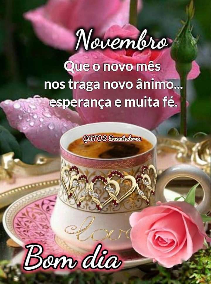 Bom dia amigas &amp; amigos
