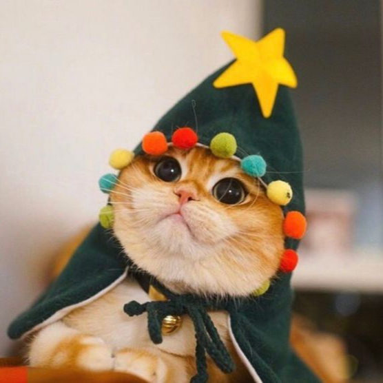 me on october 31st vs me on november 1st