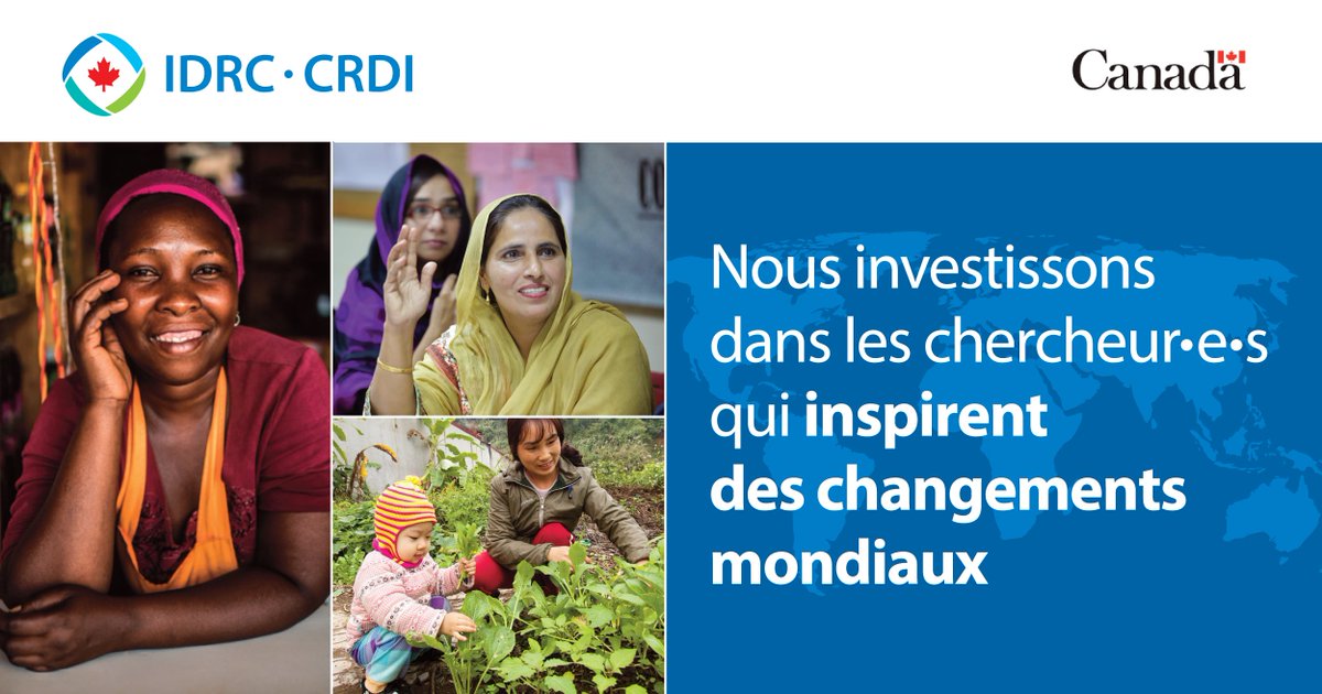 IDRC_CRDI's tweet photo. Nous recherchons notre prochain·e président·e qui amplifiera l'impact que nous avons eu à ce jour. Apprenez-en plus sur cette occasion de façonner notre avenir : https://t.co/TO4pMM8XR8 #AlerteEmplois #PostulezMaintenant https://t.co/JBmO3TuMFe
