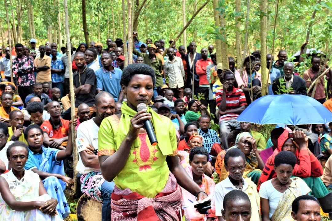 None kuwa 1/11/2022, Hamwe n'abayobozi batandukanye, Governor of Northern Province yakoze umuganda wo gutera ifumbire ya DAP &amp;UREA mu bigori bihinze kubuso bwa 53 ha mu gishanga cya Cyamuhinda/Muko. Yakiriye ibitekerezo by'abaturage anabakemurira ibibazo.