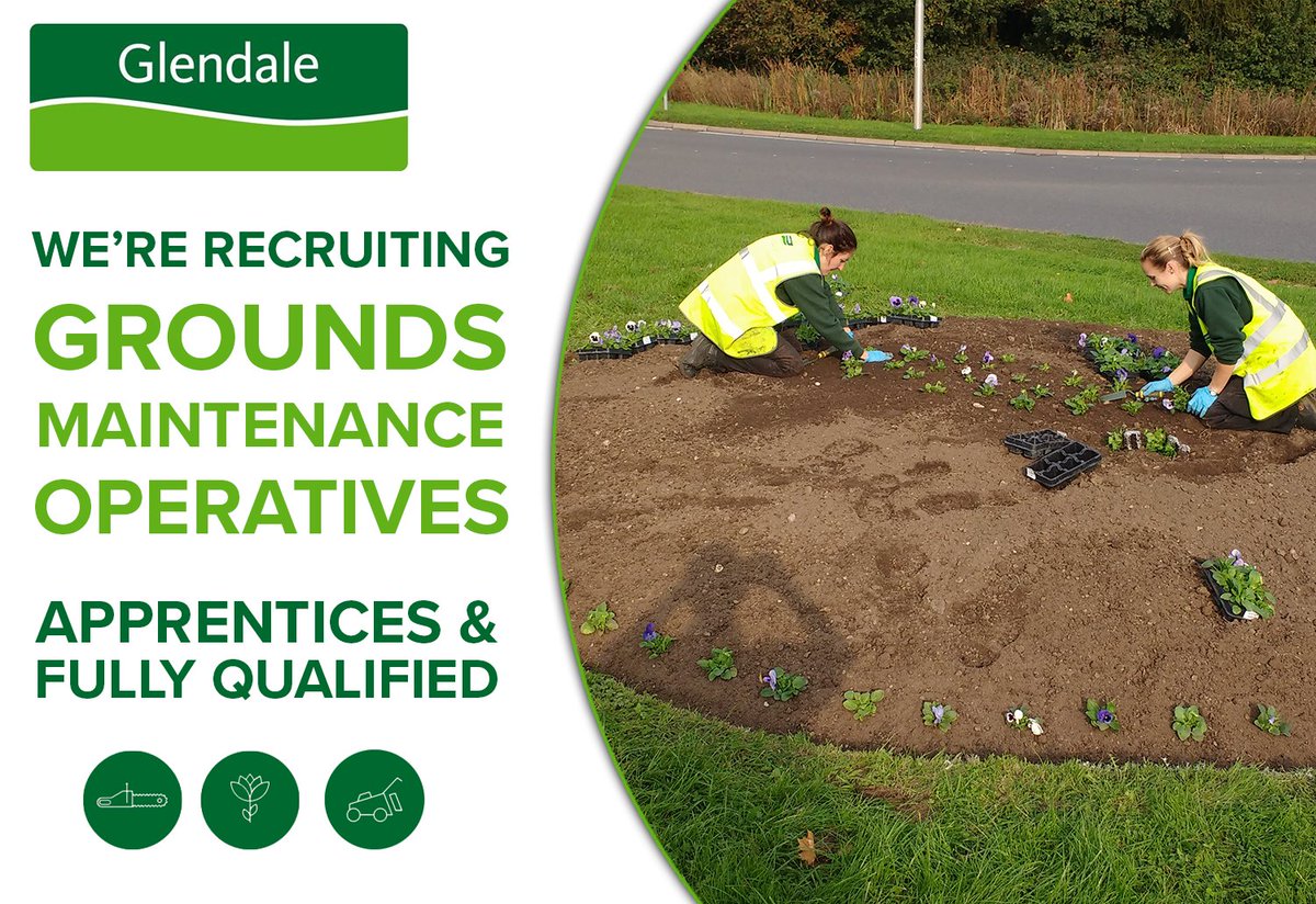 GlendaleUK tweet media