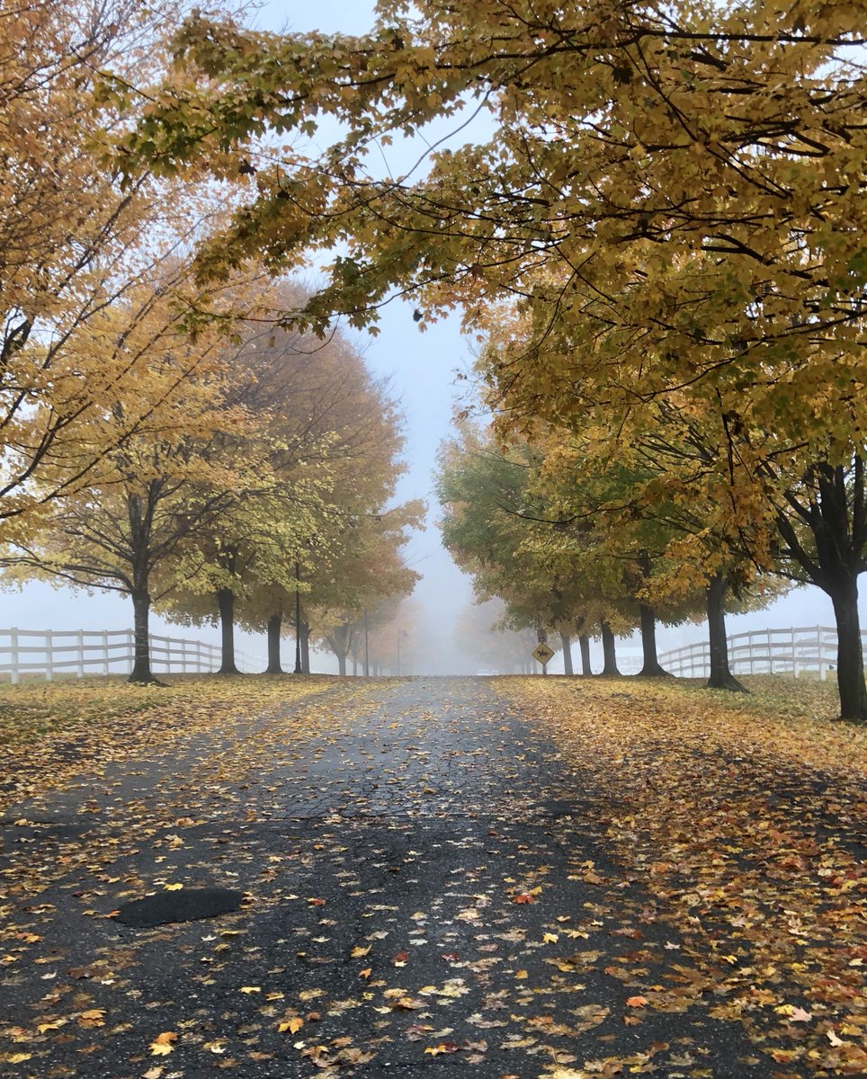 NCCDE's tweet photo. We challenge you to find a more serene view for your walk... Photo cred Mary Devine #carouselpark #netde #nccde #naturewalk #landscape #natureaddict https://t.co/v3ZRGCq6tc