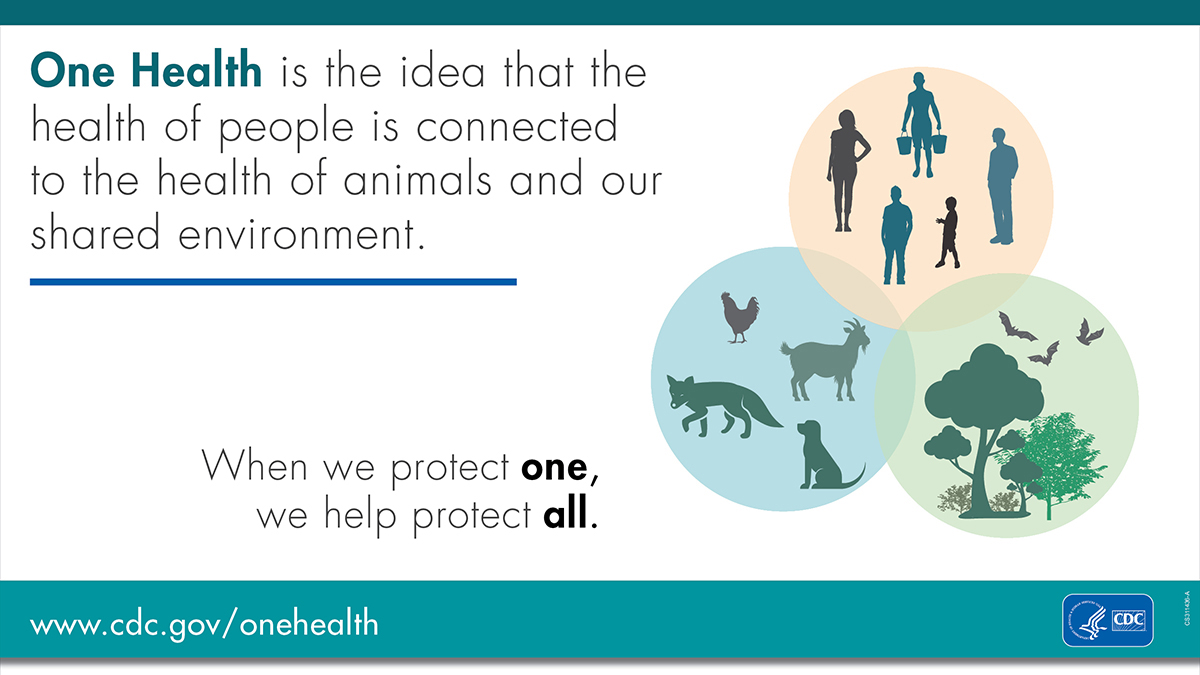 CDC Environment tweet media