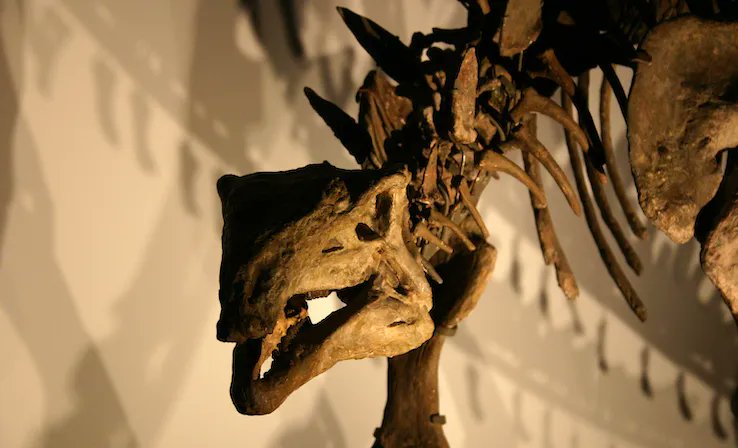 Get_Reference tweet picture