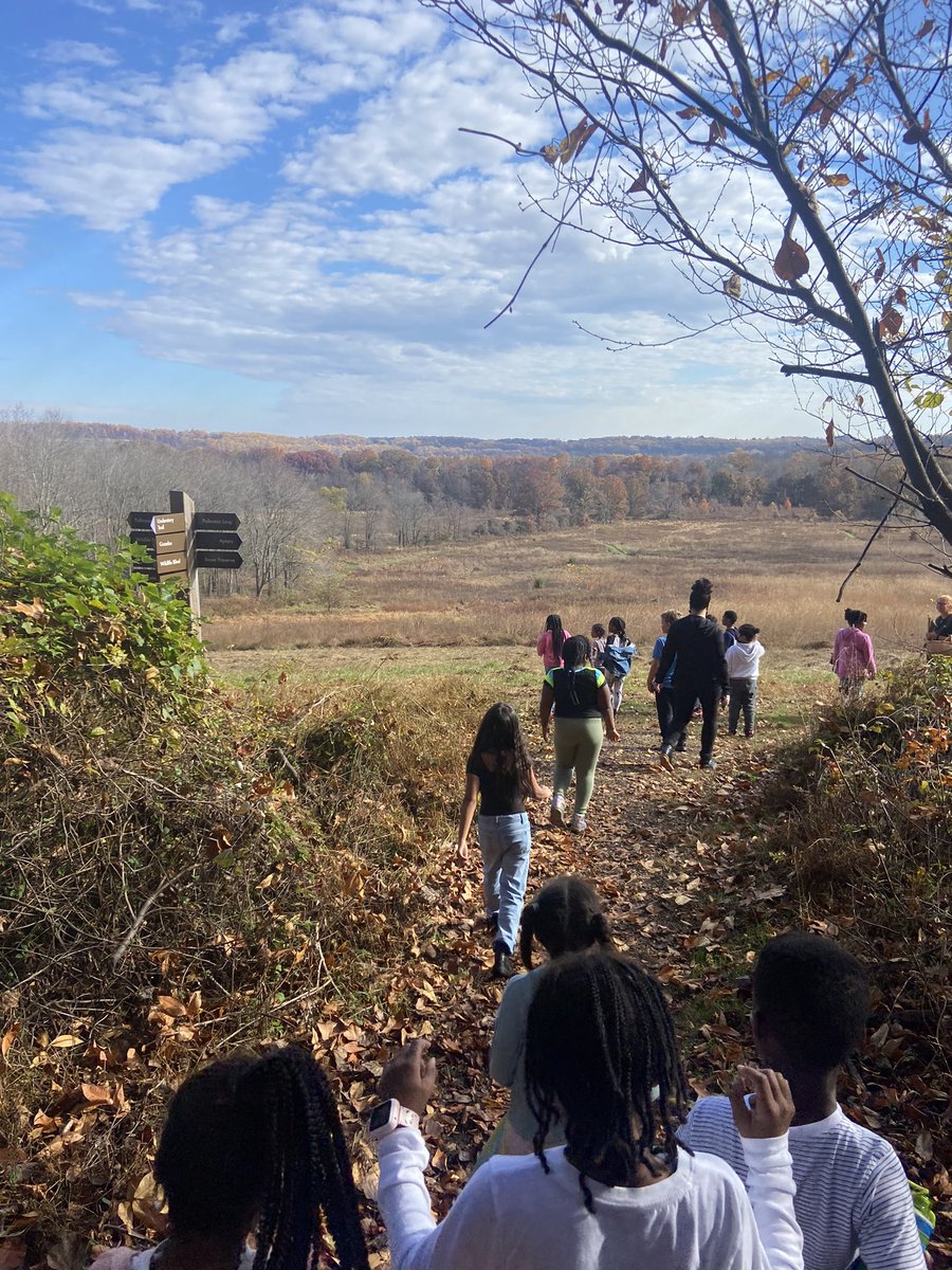 Alaleh Sadri tweet media