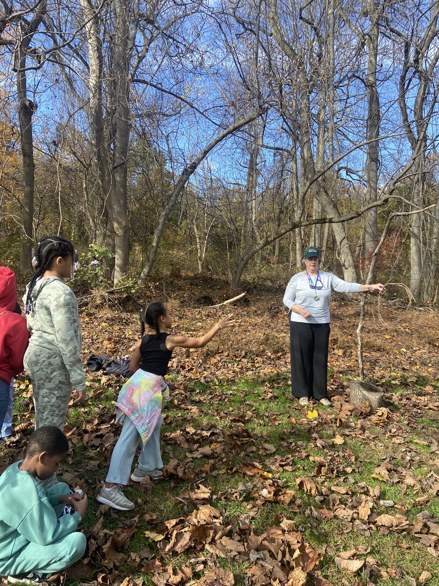 Alaleh Sadri tweet media