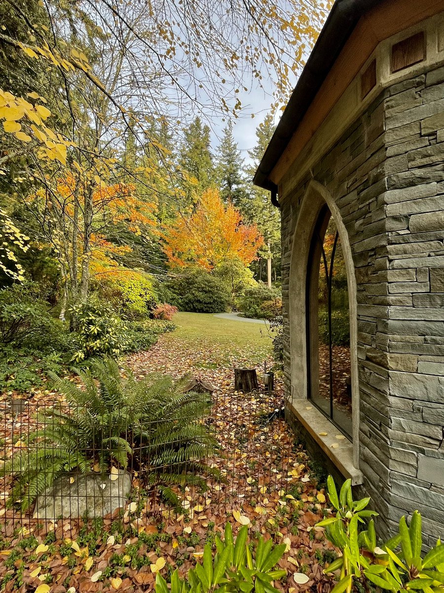Happy November!

#fall
#fallcolor 
#getoutdoors
#optoutside 
#trails 
#whidbeyisland