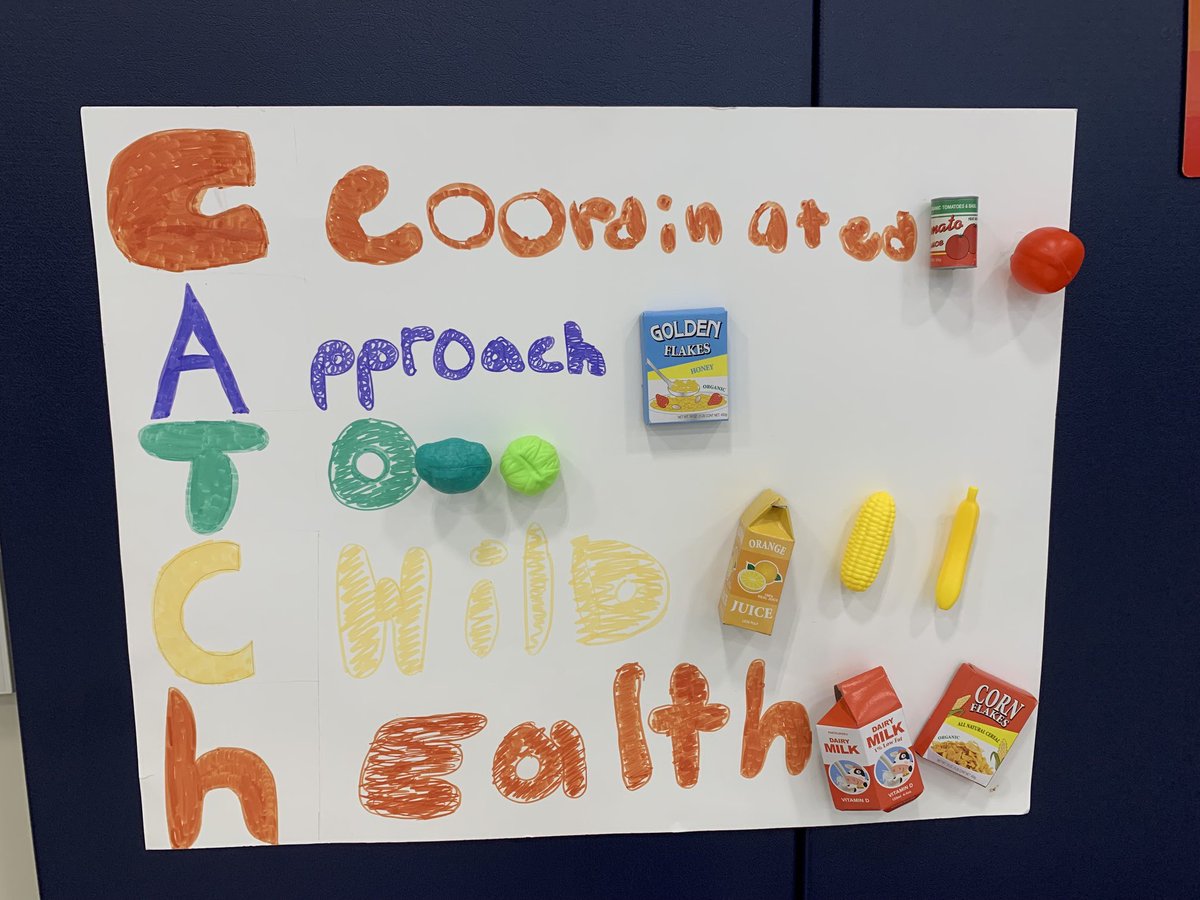 AldineHPE's tweet photo. @Anderson_AISD implementing the Whole Child Approach to help students @CATCHhealth @coolcoachreese #CATCHinAction @AldineISD https://t.co/Q9efD3KjRx