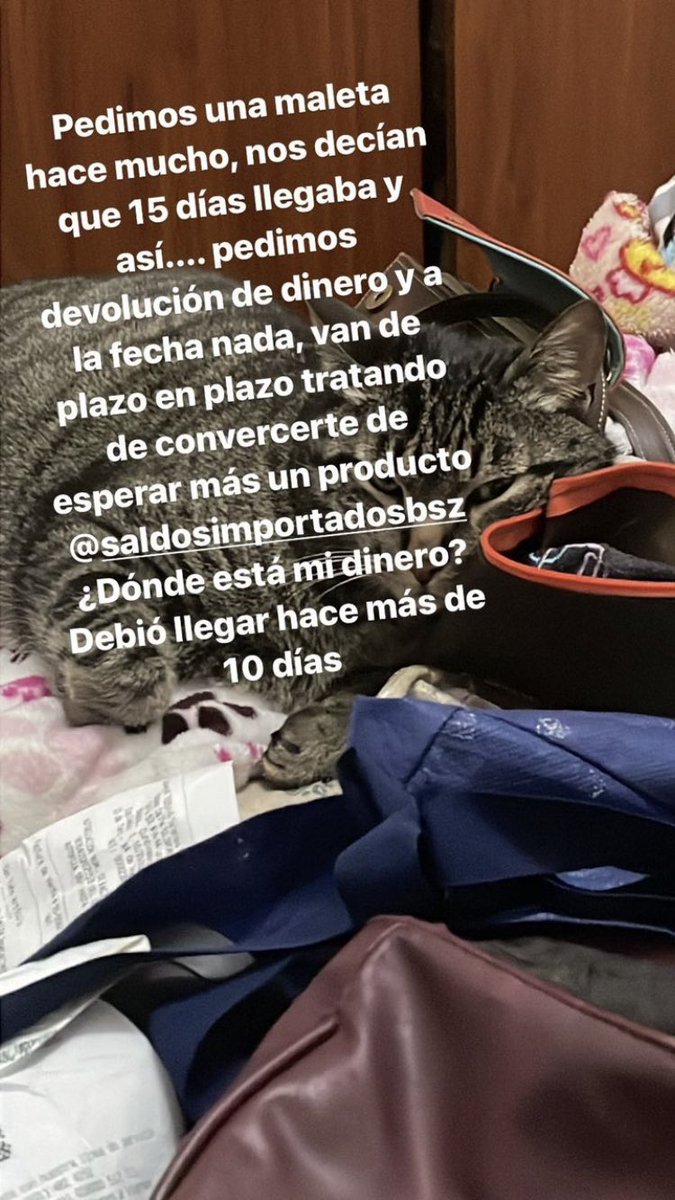 GataDeTecho's tweet photo. Les traigo una nueva página de estafas en Instagram: @saldosimportadosbsz

Venden maletas. Nunca las envían y tampoco devuelven la plata. https://t.co/StQFERyyLj