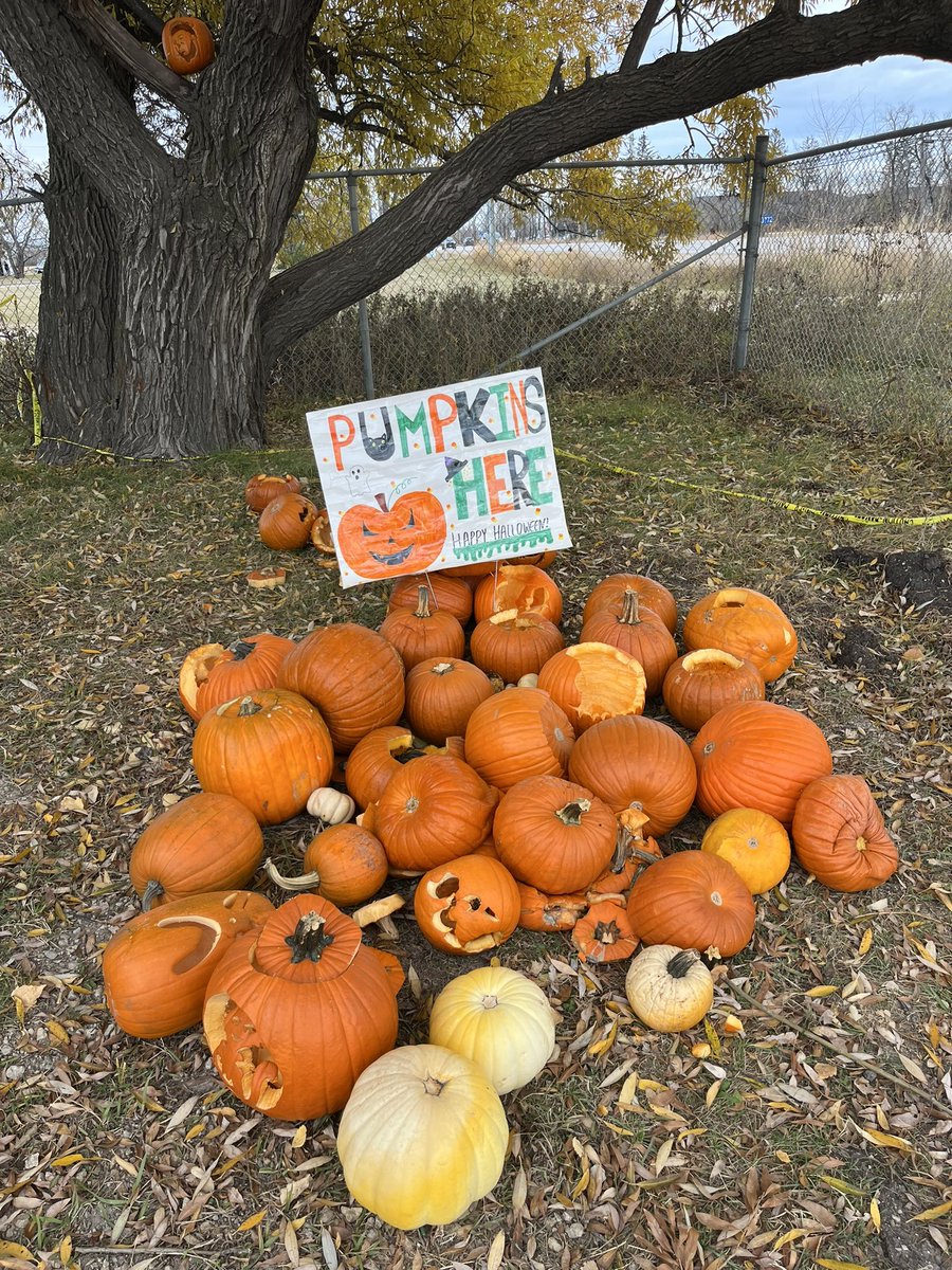 JoshLuna04's tweet photo. Wondering what to do with your pumpkin? Drop it off at West St Paul school. We are collecting pumpkins all week! https://t.co/SRvAHsKFDl