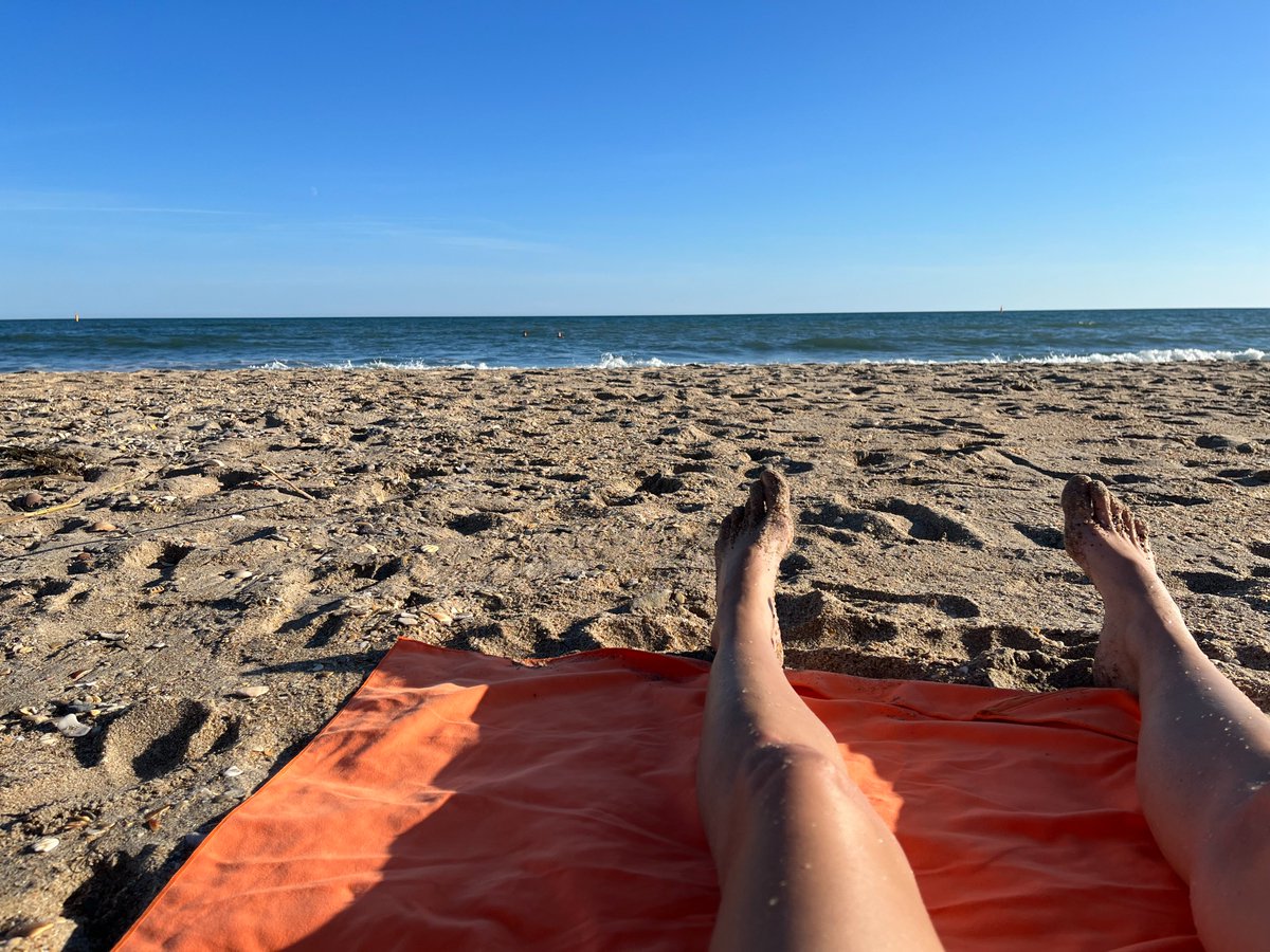 Mari_Mok's tweet photo. 1er novembre, les tomates mûrissent et on se baigne à la plage, mais à part ça, no problemo... https://t.co/0yIhwY4IlL