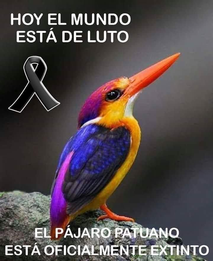 Martínez Guzmán tweet media