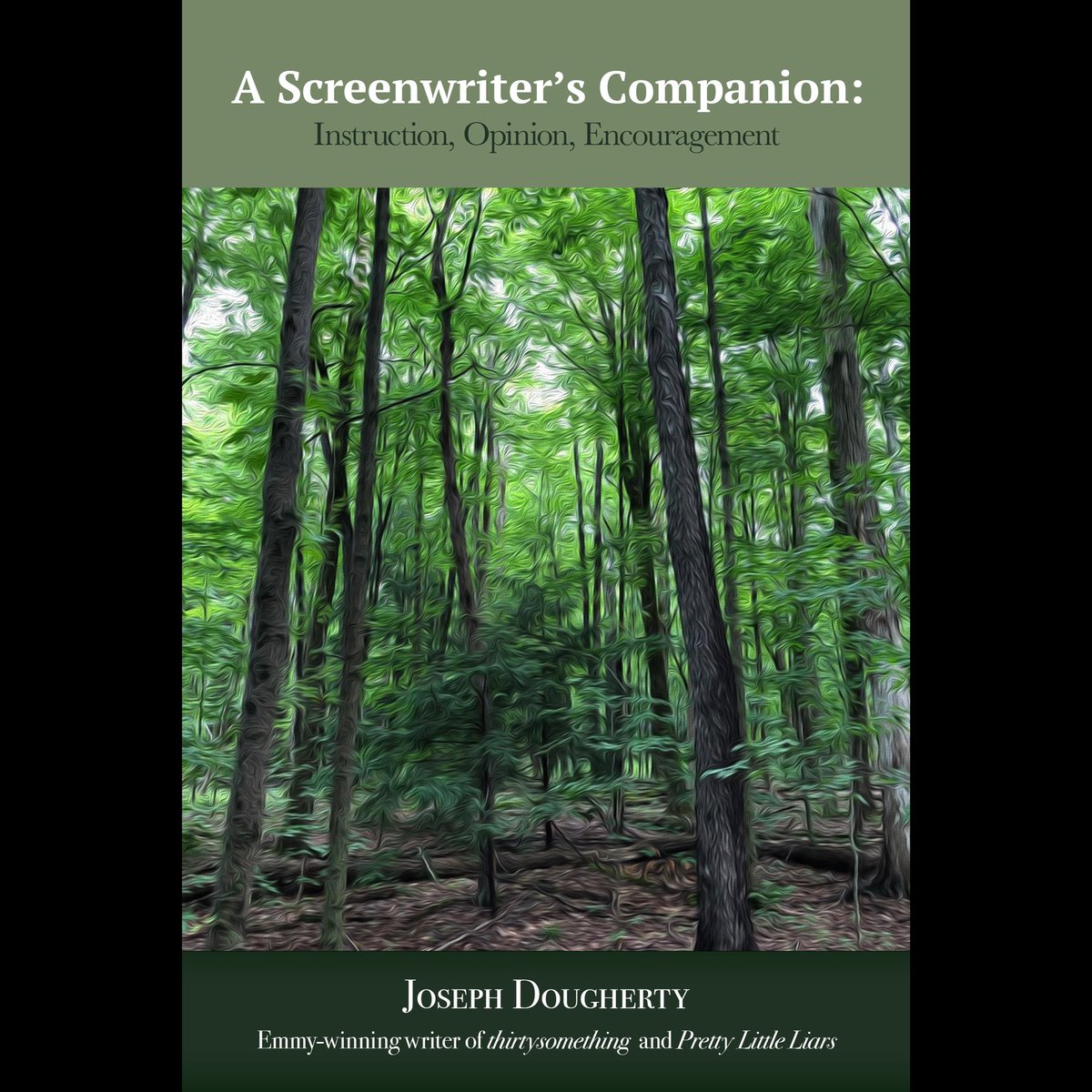 Order the book that will teach you how to write or at least point you in that direction. Joe Dougherty has a hit Off-Broadway play right now. Learn from the best. Order his book at tuckerdspress.com #WritingCommunity #writers