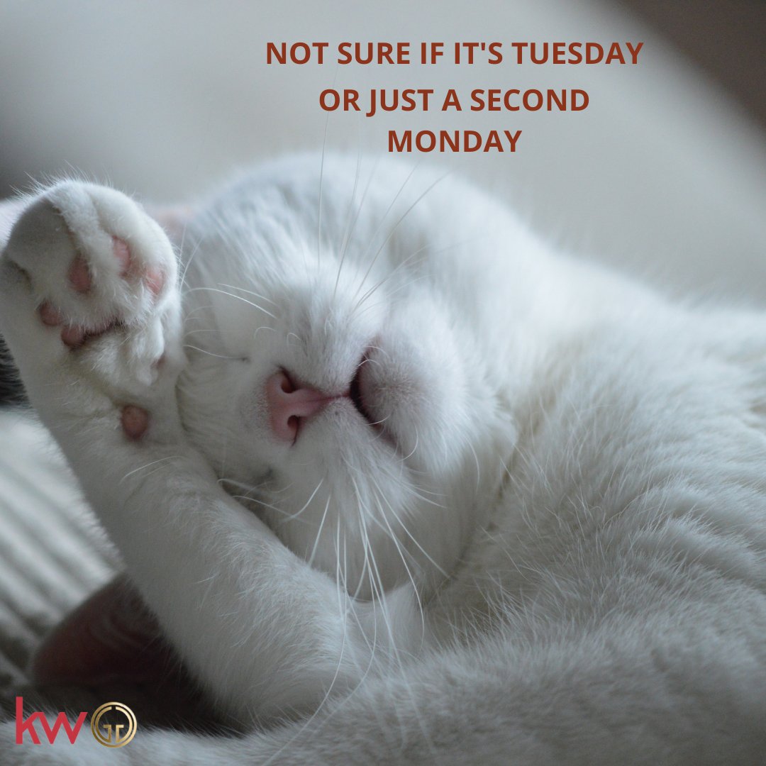 GriffinGroupFL's tweet photo. Yes, it surely is... just Tuesday https://t.co/5oOvXr7lGF