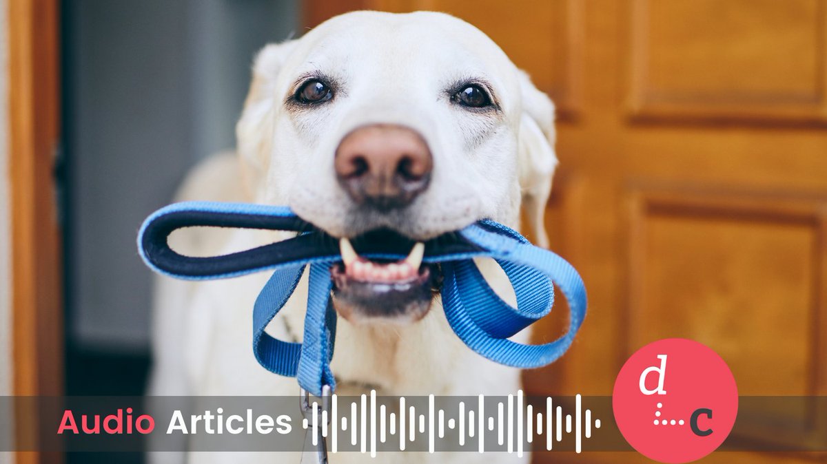 DementiaMag's tweet photo. Listen for free while you walk the dog!  Find our 🎧 Audio Articles at Apple Podcasts or link in bio🔗 #dementia #storytelling #AudioArticles #podcast https://t.co/fjVePYWQpp