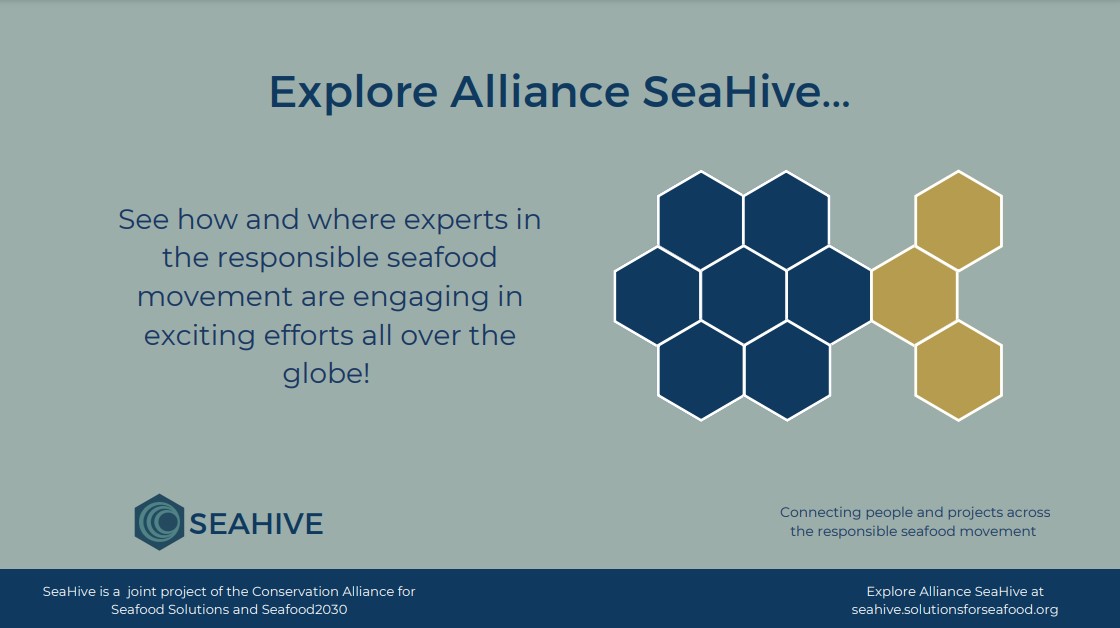 SeaChoice's tweet photo. SeaChoice is excited to be part of the @ConsAllianceSS #SeaHive!

See how and where experts are engaging in exciting efforts all over the globe by signing up!

https://t.co/8W5D2v0CvF https://t.co/SbnjSraFMm