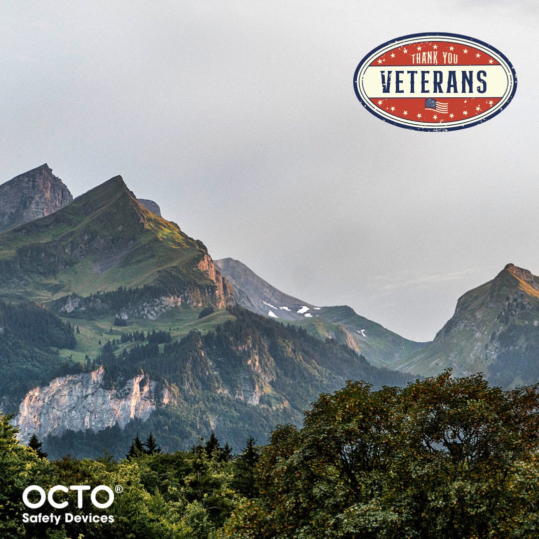 OctoSafety's tweet photo. A simple thank you to all of our veterans out there. 

#veteransday2022 https://t.co/9haWFMG79z